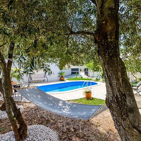 In With House A Panoramic View Holiday home